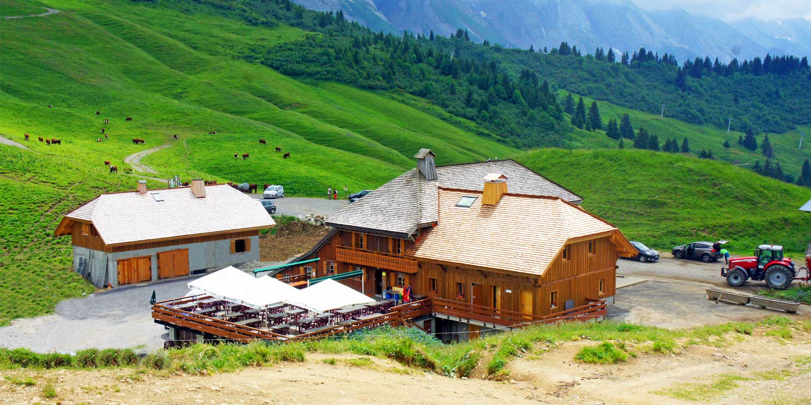 architecte denis goy