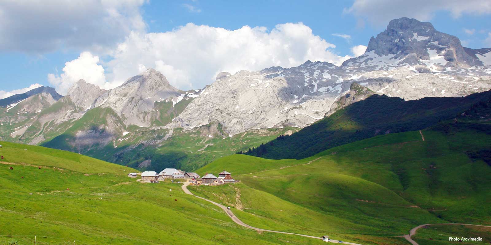 architecte denis goy